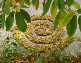 natuurkunst Frayssinette